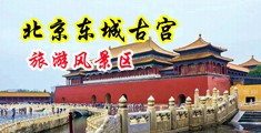 抽插玩弄空姐中国北京-东城古宫旅游风景区